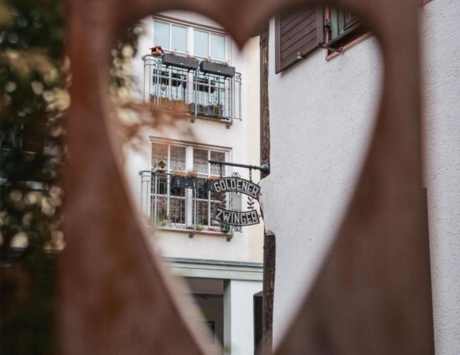 Pension Goldener Zwinger Meiningen Exterior foto